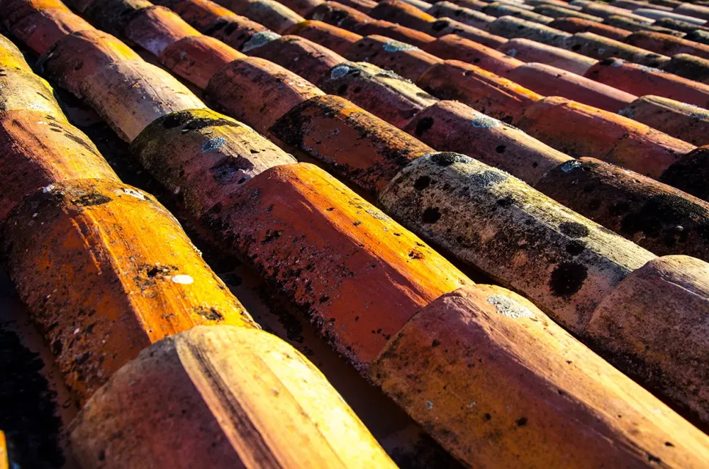 nettoyage toiture (2)